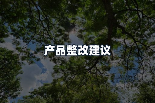 产品整改建议