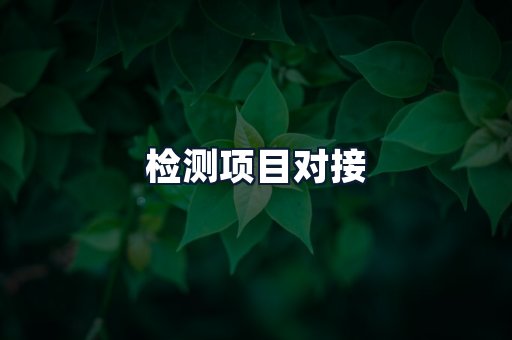 检测项目对接